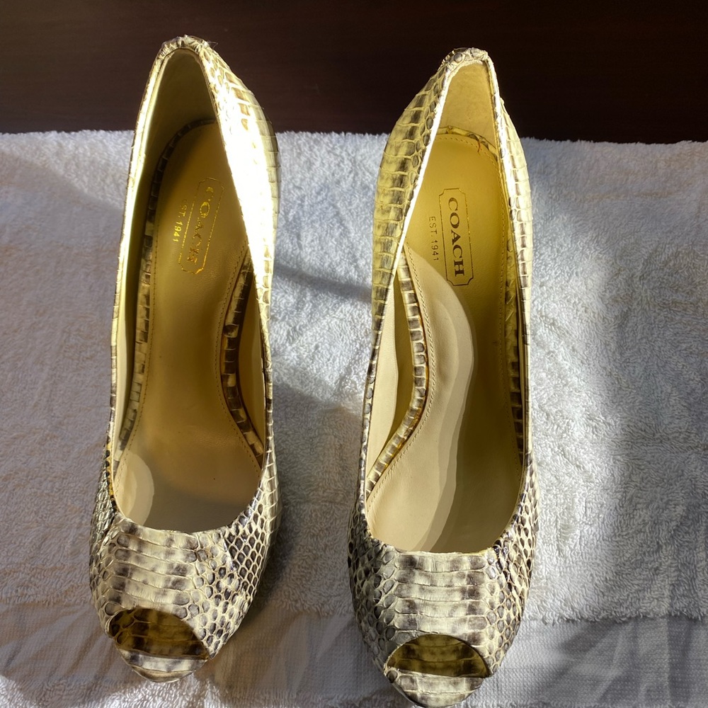 Coach python leather peep-toe heels